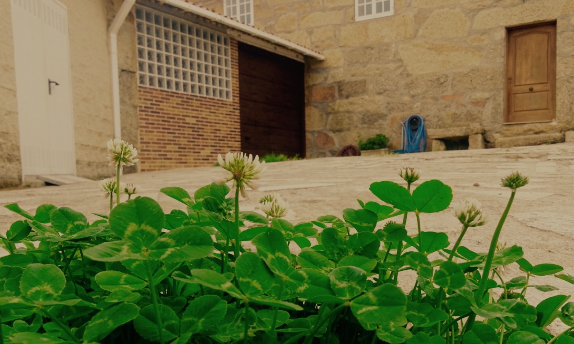 Micro bodega Constantina Sotelo