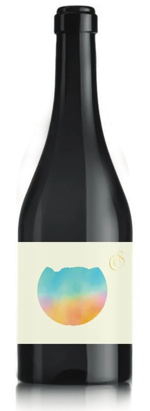 botella-damaxoana Botella de Dama Xoana